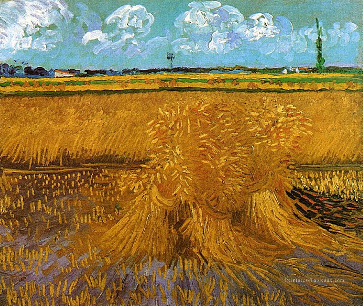 Champ de blé avec des réas Vincent van Gogh Peintures à l'huile